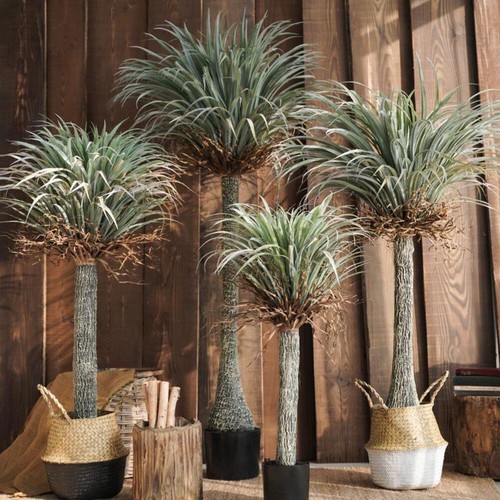 Artificial palm tree rocco - palm,