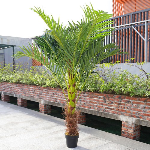 Large 6ft artificial palm - 6ft,