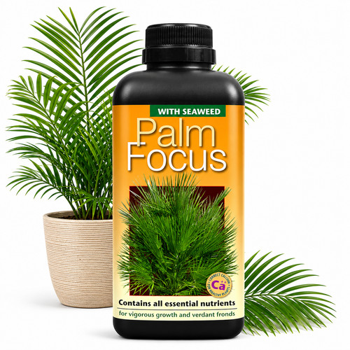 Palm tree fertiliser feed for - palm,