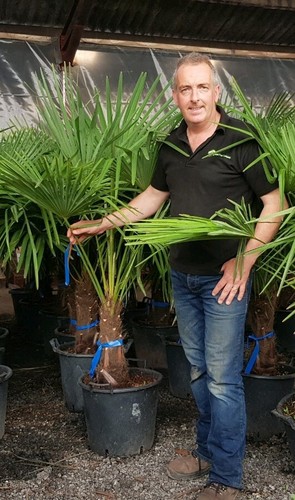 6ft inc pot - 5-, premium